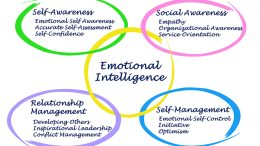 Blog | Emotional Intelligence